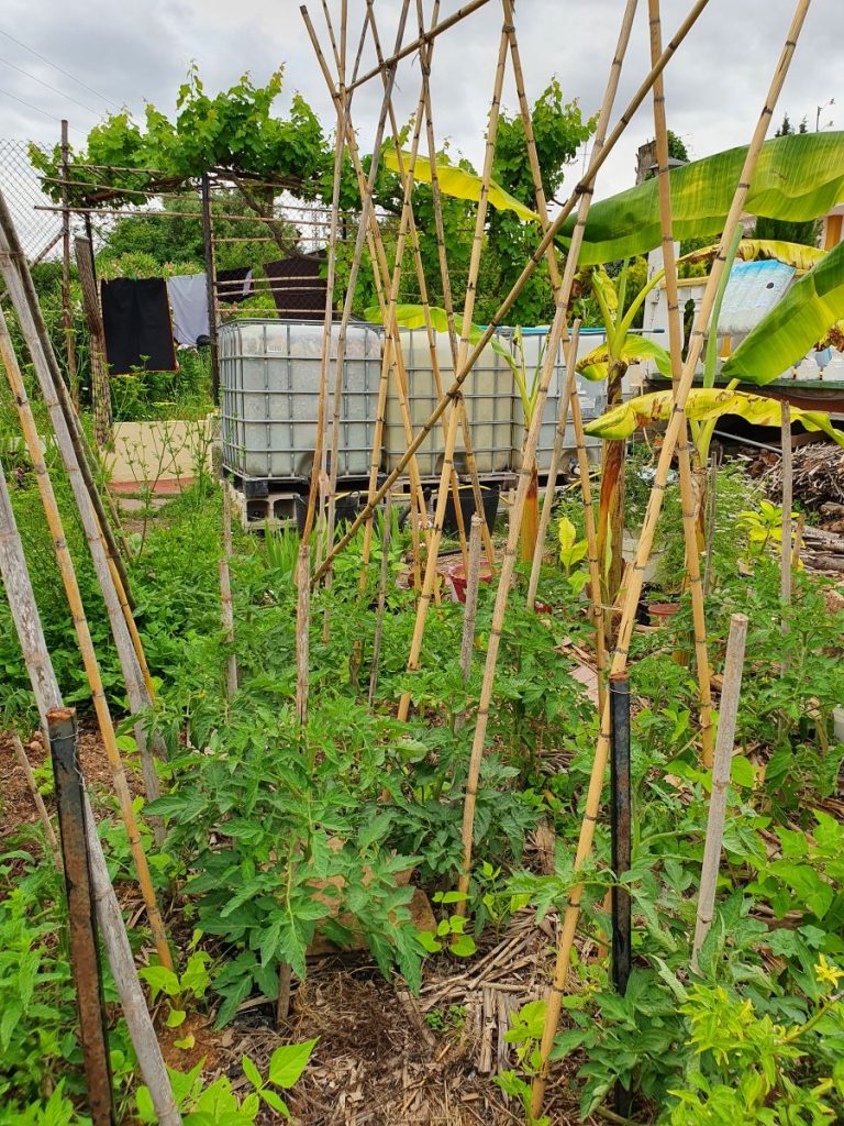 reduire sa consommation d'eau au jardin avec systeme de recuperation d'eau de pluie