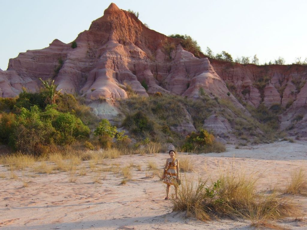 environmentalist travel